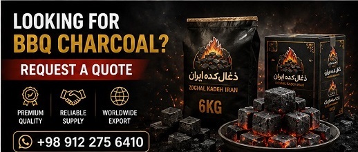 Compressed BBQ Charcoal Supplier in Iran