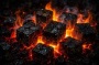 BBQ Charcoal Manufacturer in Iran: Wholesale & Export Guide