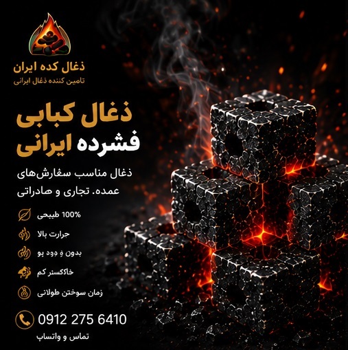 نمای نزدیک ذغال کبابی فشرده